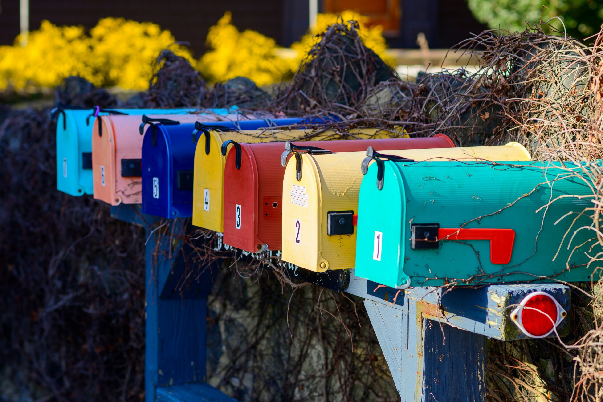 Email Newsletters & Best Practices