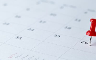 How Often Should I Send Out Newsletters?