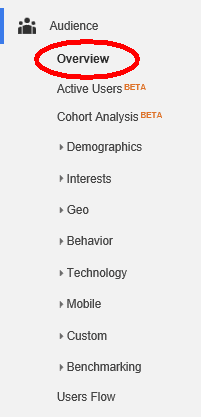 Selecting Audience Overview in Google Analytics