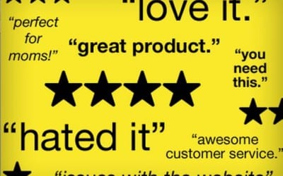 Why Product Reviews Matter