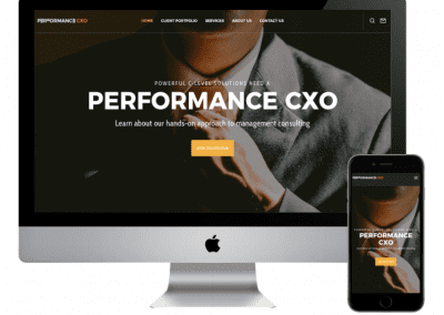 Professional Website For Performance CXO