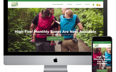 Little Hiker Website Design And Marketing
