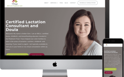 Lactation Consultant and Doula Website Design