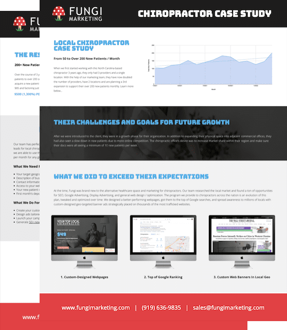 chiropractor marketing case study preview chiropractor marketing case study preview